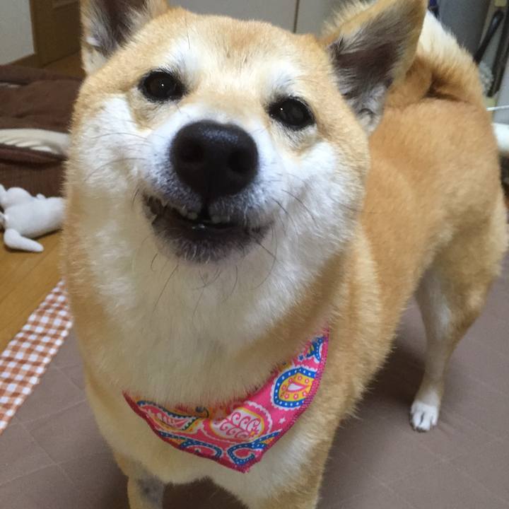 38cb44e0 cbc4 4651 9442 0f4ed82455f4