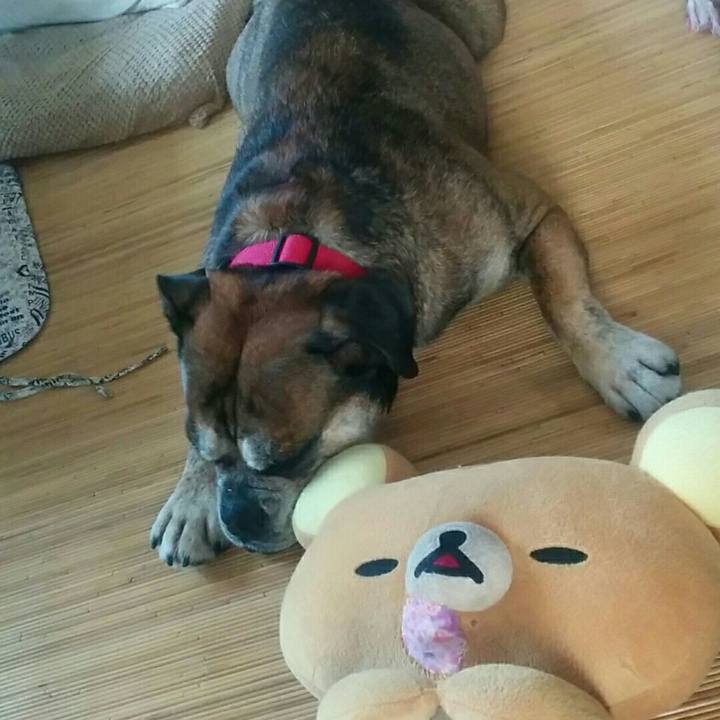 38cba00c 3b85 4e64 975c bda32b1e98b3