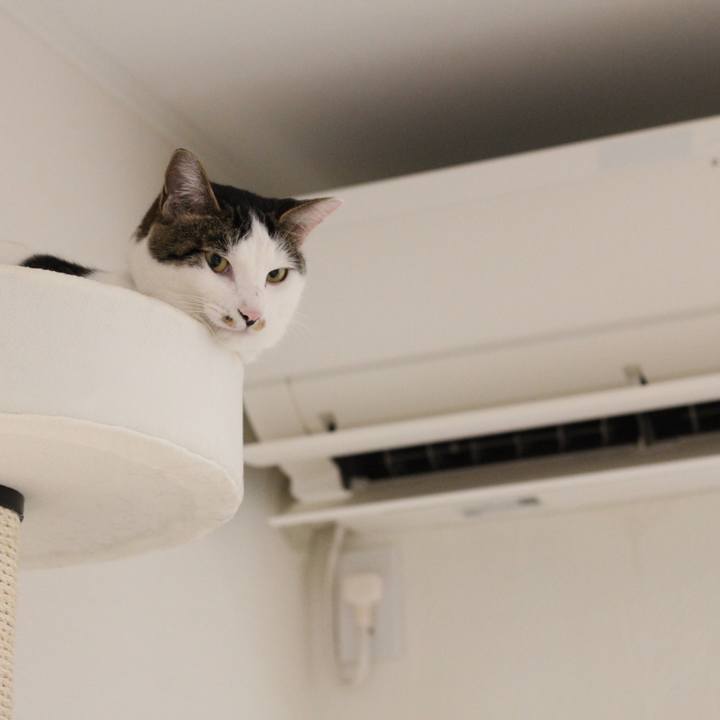 38cbfd84 0fbc 4cce 8fce 9bc26a609643