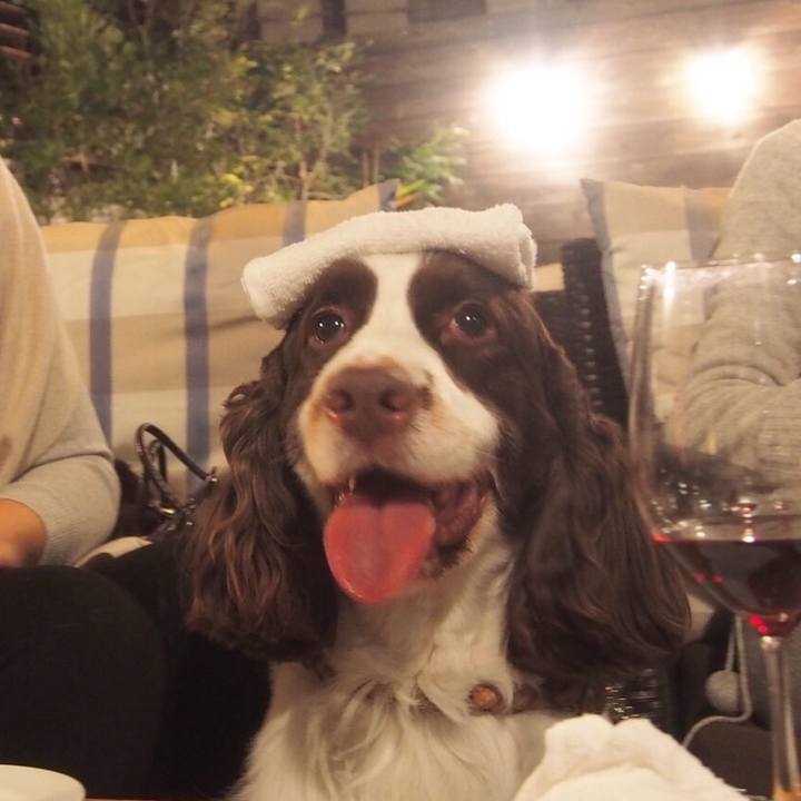 38cc288d 5f4d 40d4 8263 223ecac10d64