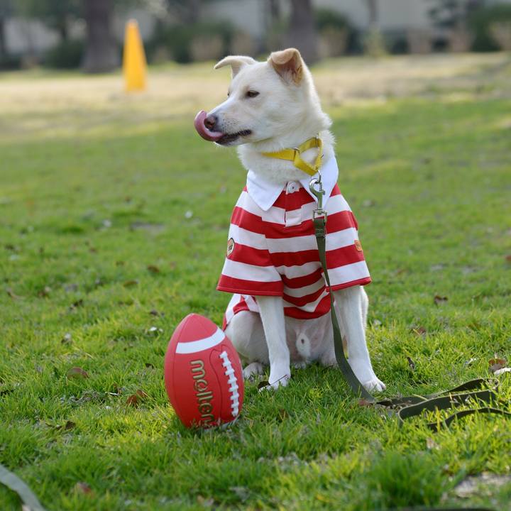 38cca934 d0b6 4a13 ae9d 53edf9bf06eb