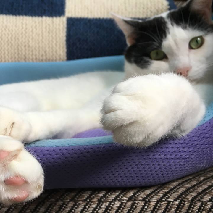 38cd025b 0182 4ab8 9a17 a35bf86e1cf4