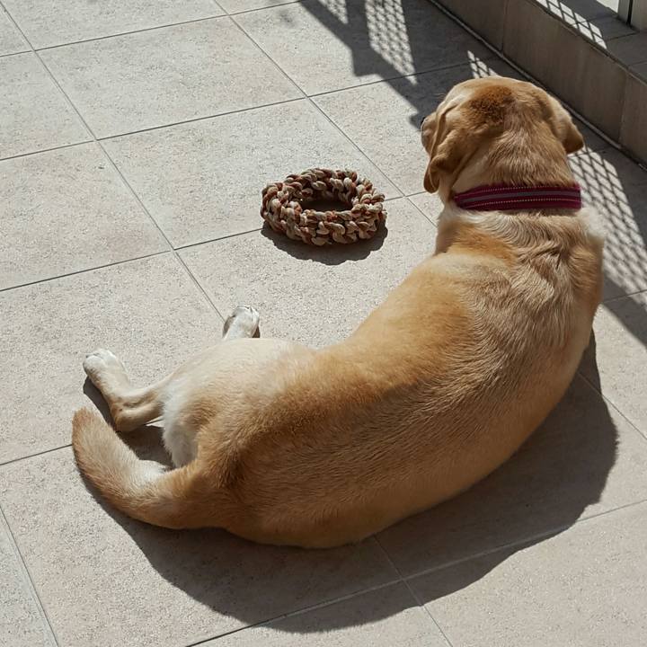 38cda8d1 09a2 4cda 8f35 0bbb0beca44b