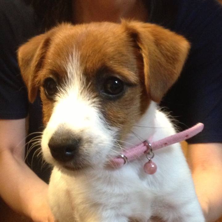 38ce1a98 8895 45d8 bd5c 673d0eae5a0f