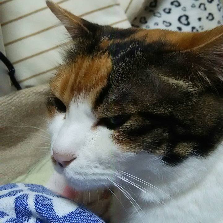 38ce77b3 203c 4204 8888 4bae9eb62e01