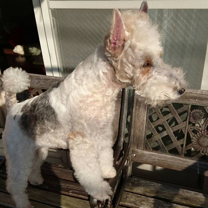 38ced30b 1ec4 4dd9 a4d9 44f392628eb0