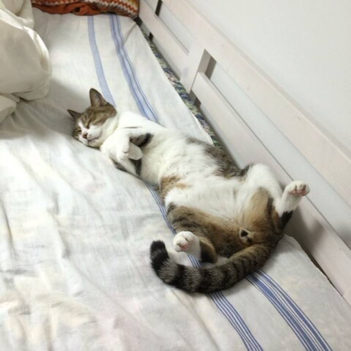 38cf0101 688e 4fe0 ba71 93b5e862a79c