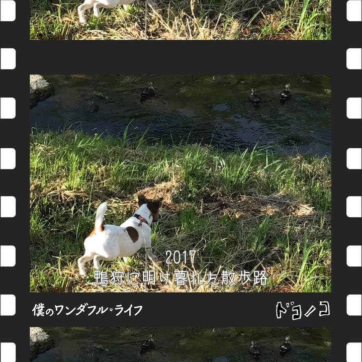 38cf019f 101e 4df3 9028 2b9a71564c68