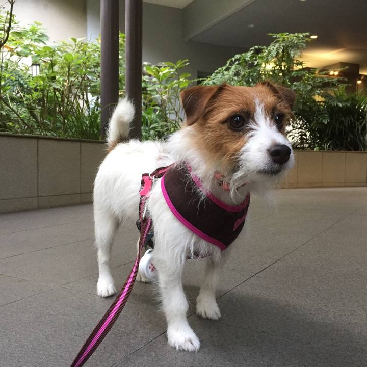 38cf65fb 725b 4eb6 b408 842ec98bd046