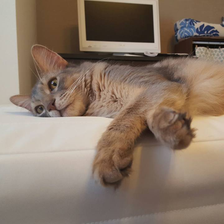 38cf89e2 b182 4929 9afc 6170c6d1e46b