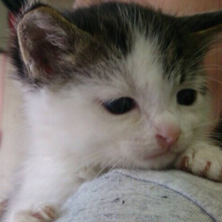 38cfada9 0e74 4132 9991 68e4992b903f