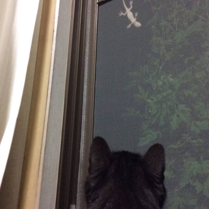 38d0d0ae 21ec 4935 9267 1ba64a3343aa