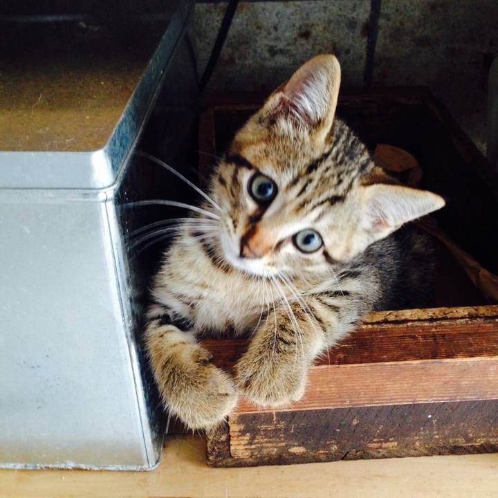 38d0d43a 47b7 4efe 9a6f 57760b19bdfa