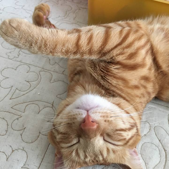 38d0d628 6023 4d9b b4e1 5eb20a6a2b66