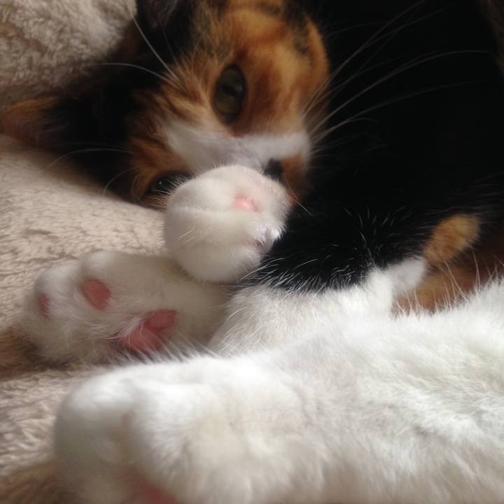 38d113f2 a008 4e92 93c9 901299164a00