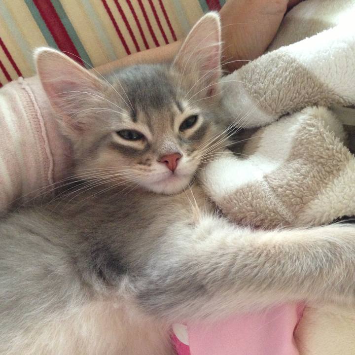 38d187f7 7d14 4e11 910e 1b2a5f81193d