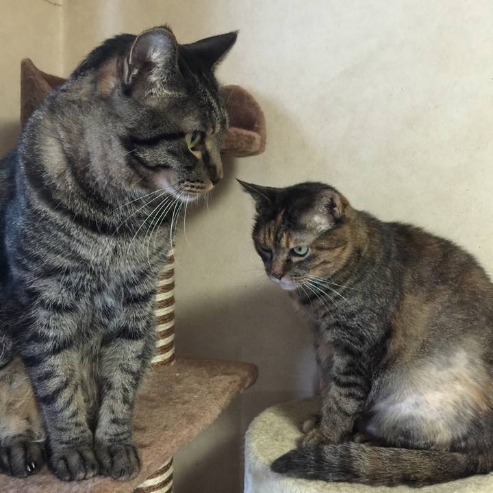 38d1ea19 7fbd 4d7d 8202 ed7bcaaf9b93