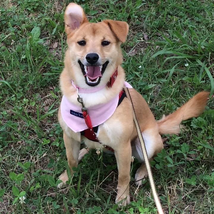 38d1eb00 10bd 4173 8004 957b8c4c6a08