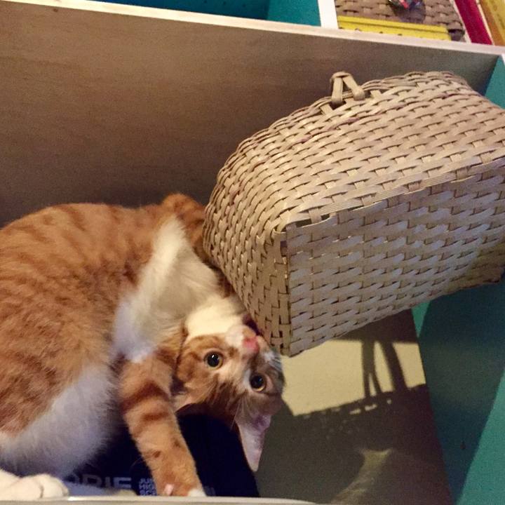 38d2361f 0648 46cc 97eb f82ad4a66dd5