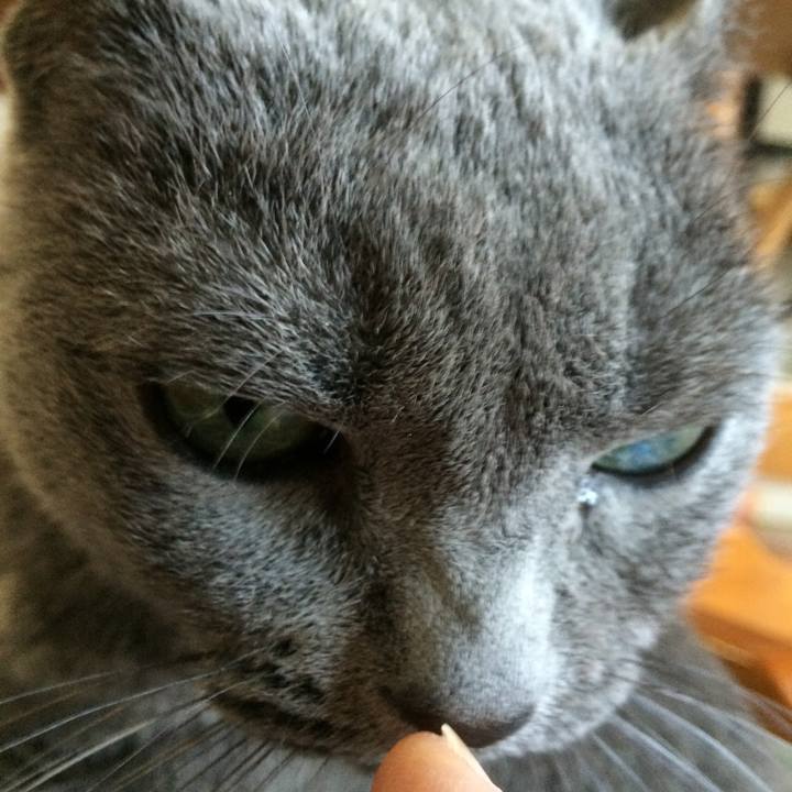 38d25146 ed95 4456 a62b 60870b5698ee