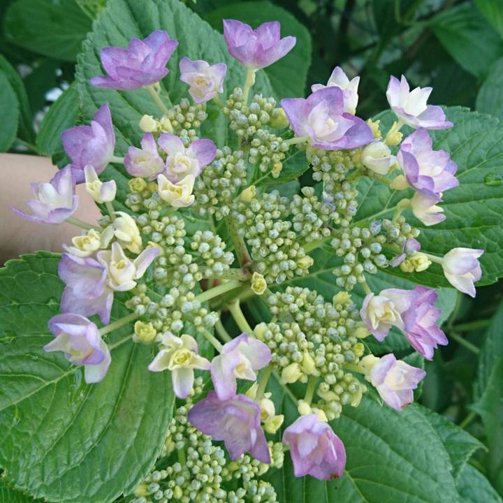 38d34d02 cebe 45de 9717 0e0e22cdf1f4