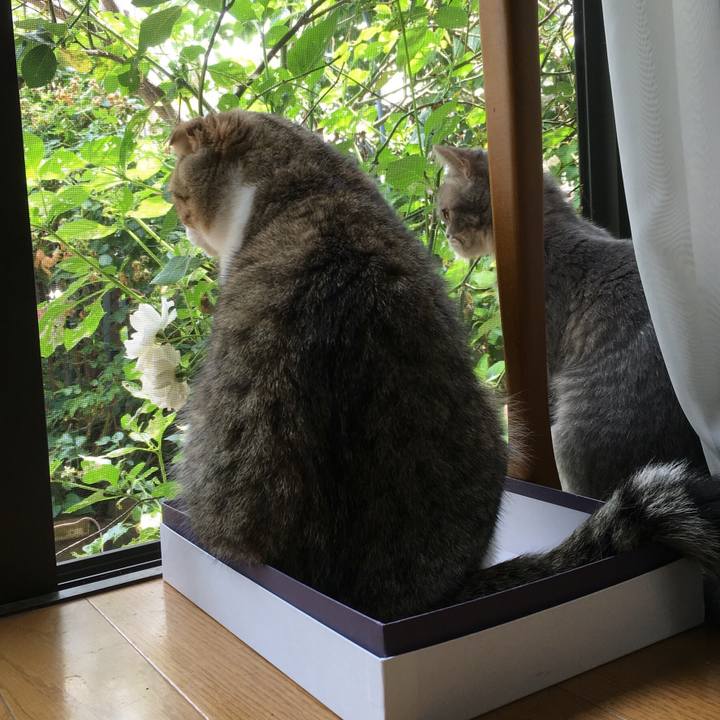 38d36b3c ed9f 4357 b203 ac4fff4c4124