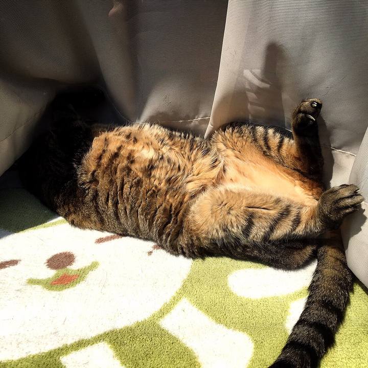 38d3a19f 7039 487b 9ea3 31294c48c72a