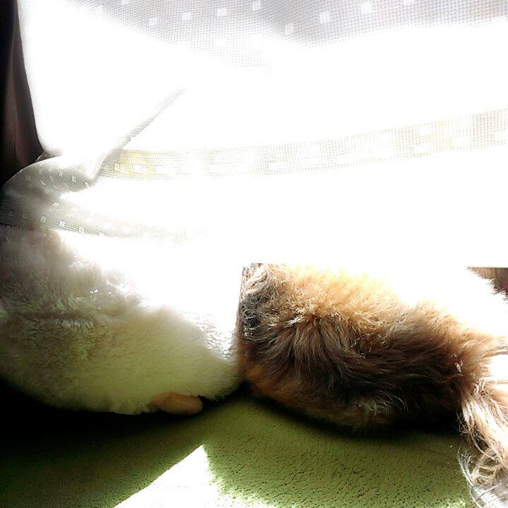 38d4db70 ca26 4533 ad7e 266215c1cf46