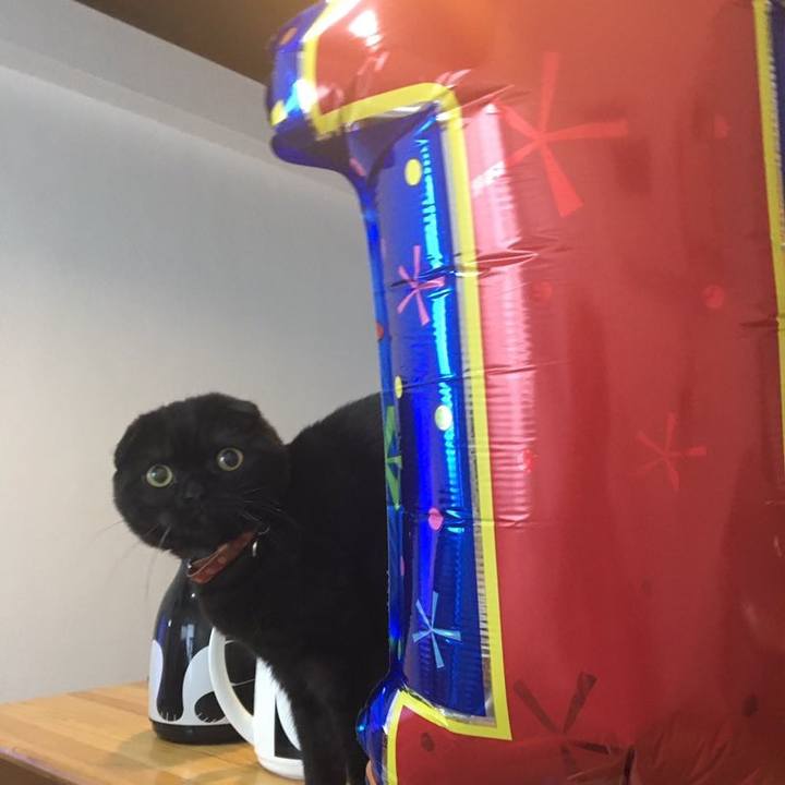 38d4e1d6 7084 4604 a3b3 657a8662c82f