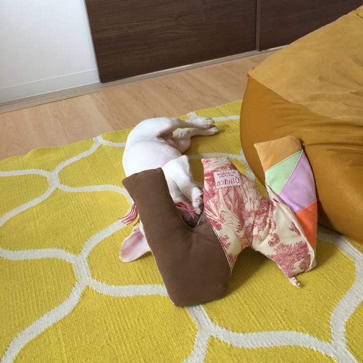 38d582b2 8fad 4c09 9ef8 aaff6106021f