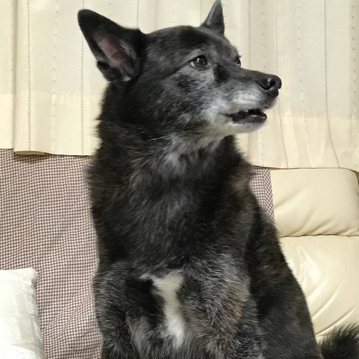 38d671c1 392d 4981 9752 a32bc9e31780