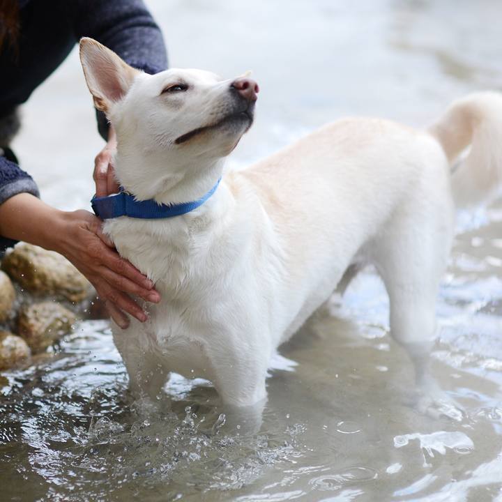 38d68ab3 fb48 4fb2 a14b 6d5f8c2f5b62