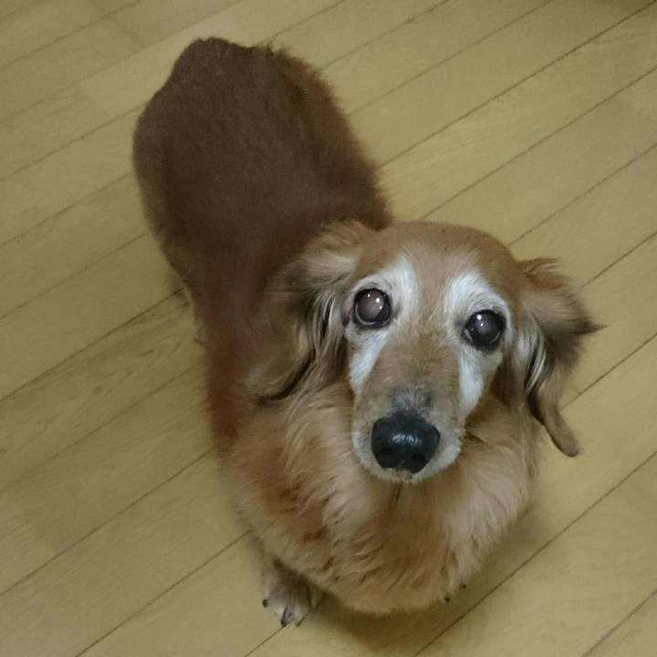 38d696ca 0bd1 4ee8 96f8 521df6ed2220