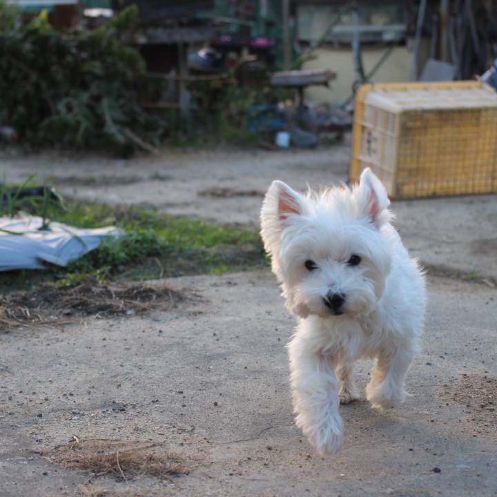 38d6c1dc eb78 4654 9b02 df9b8d59f5ec