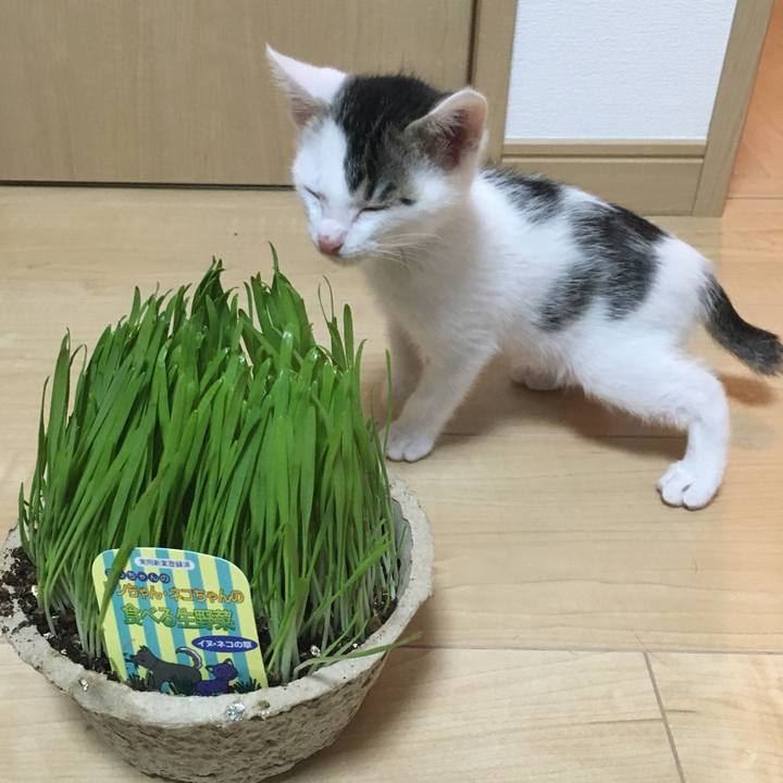 38d6cff0 5fdd 44a1 892f 221bfbfd9572