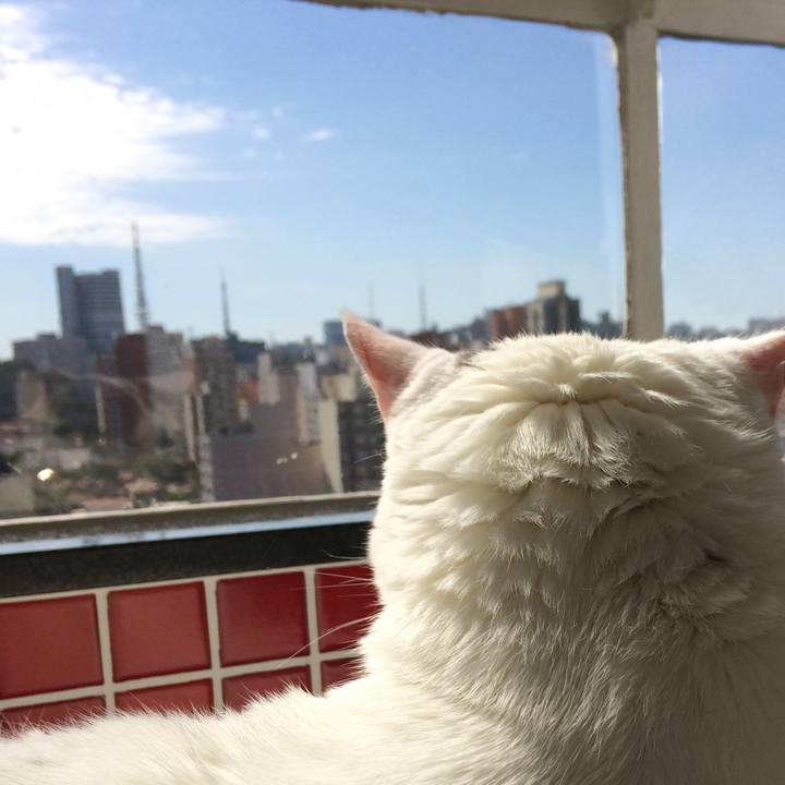 38d6d4da 6606 4fda 97d7 7a9772365188