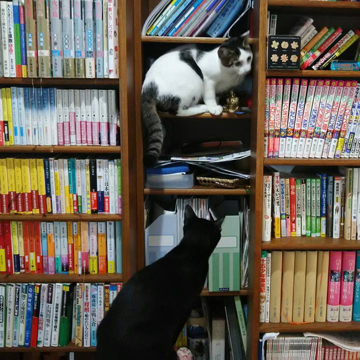 38d6e6a8 a962 499a a078 2ef503e98a07