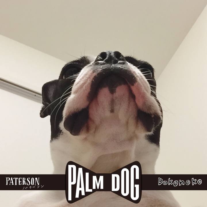 38d6f791 a5e1 40ff 949b 85fbce30a1d4