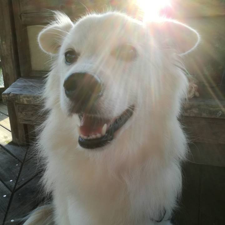 38d7cb65 7f65 4f2e 99a2 d569a4842e10