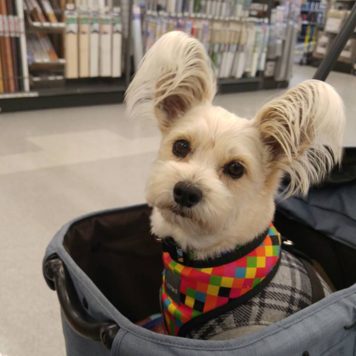 38d7f791 63d4 46b6 9d3d 5b11988ac546