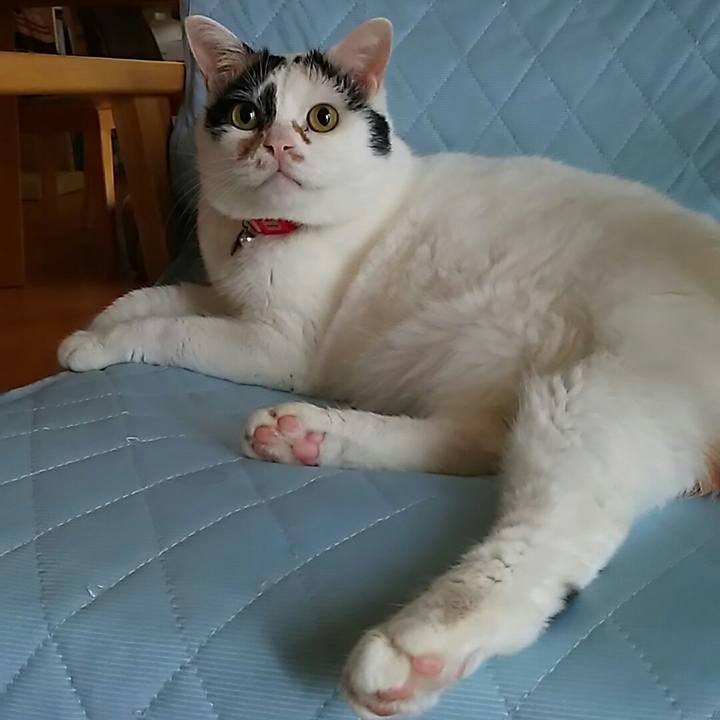 38d84d75 79a7 4d38 9e18 2f5124a0c35f