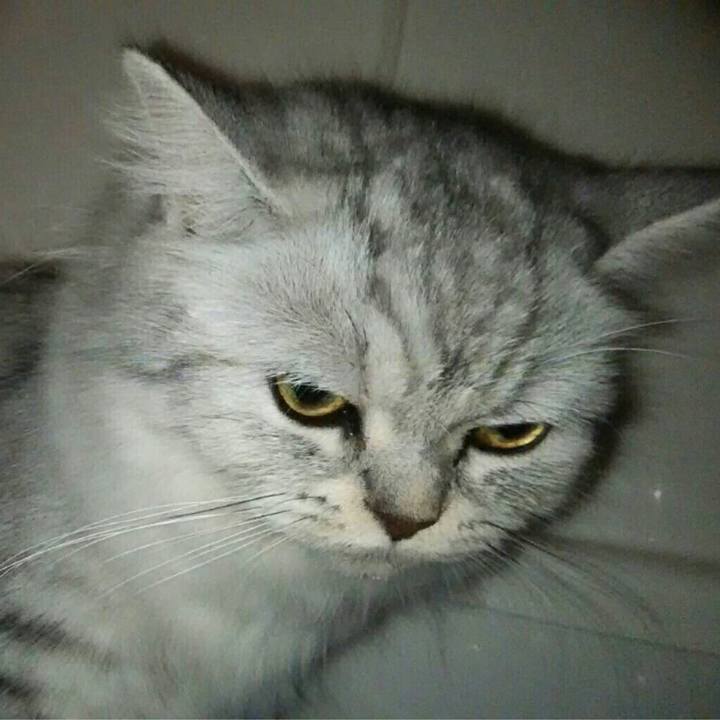 38d8e7b8 0c85 4a5c 8775 db01de5aab44