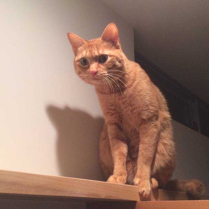 38da1c0f 72e0 43fa b20b a28e28b64875