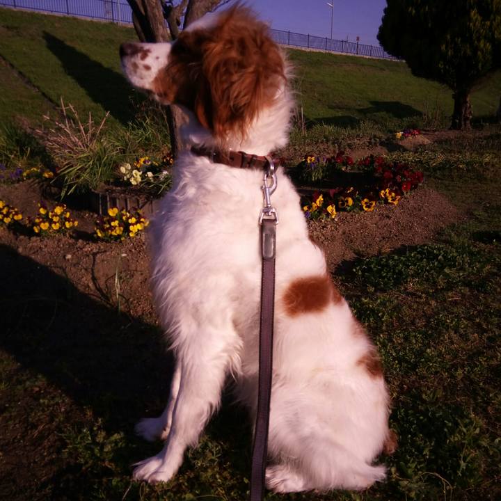 38da4726 bc01 4b60 b83f a1ebbd2f555d