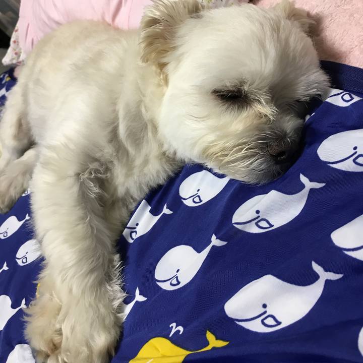 38da69cf c908 4321 96fc ec15ce812398