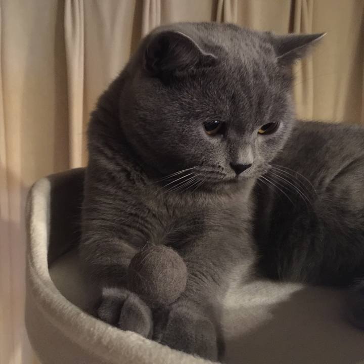 38dac4d7 151c 4296 877e b42f9b886d63