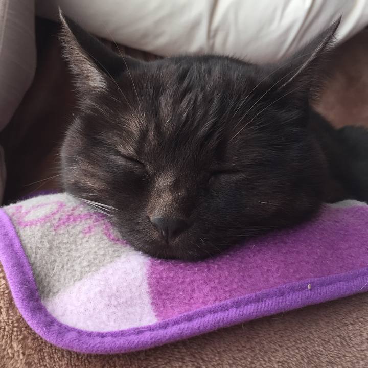 38dafdda 9852 491b bb6b ccb127a4c3d7