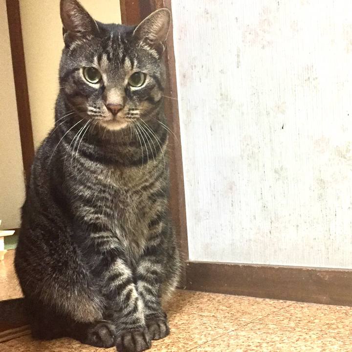 38db22df bbf3 4d0c 8878 e3f53706f361