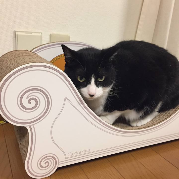 38db6fb1 d846 4f38 b72f 5c1793774ad3