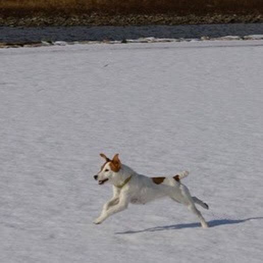 38db9cf0 5bc5 4dd1 b4aa cdb487a6cd86